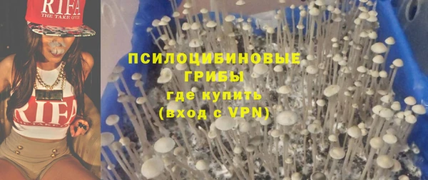 мескалин Арсеньев